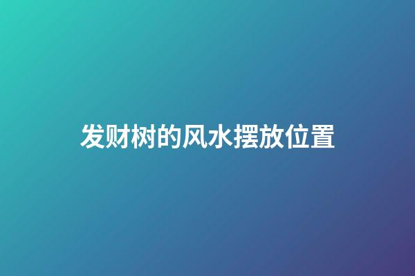 发财树的风水摆放位置