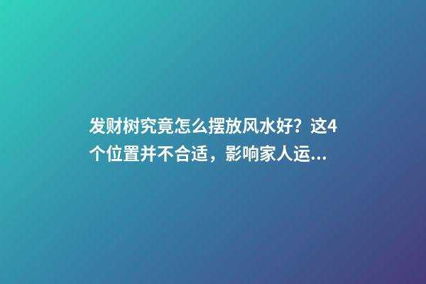 发财树究竟怎么摆放风水好？这4个位置并不合适，影响家人运势
