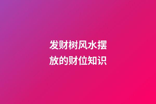 发财树风水摆放的财位知识