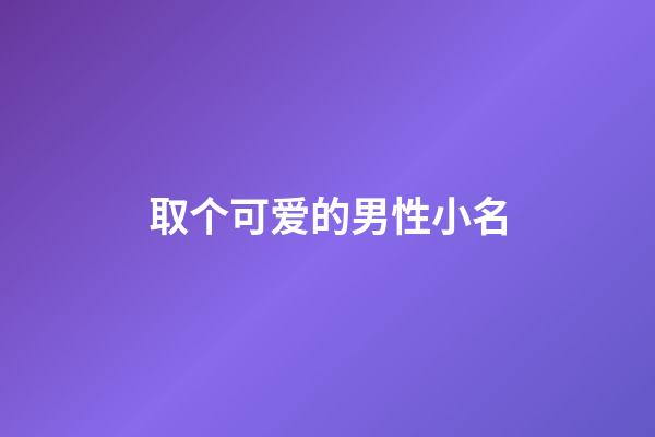 取个可爱的男性小名