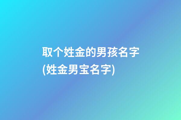 取个姓金的男孩名字(姓金男宝名字)