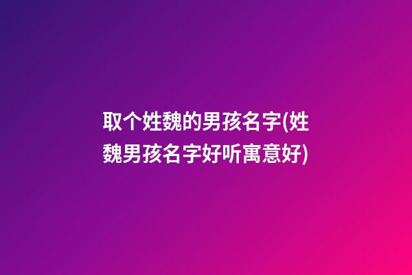 取个姓魏的男孩名字(姓魏男孩名字好听寓意好)