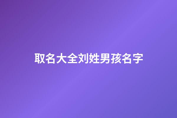 取名大全刘姓男孩名字(刘姓男孩名字2023年名字大全)-第1张-男孩起名-玄机派