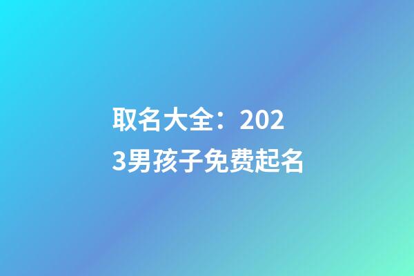 取名大全：2023男孩子免费起名