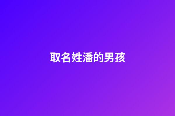 取名姓潘的男孩(男孩起名姓潘)-第1张-男孩起名-玄机派
