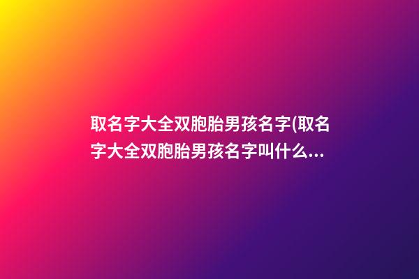 取名字大全双胞胎男孩名字(取名字大全双胞胎男孩名字叫什么)