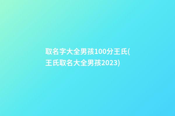 取名字大全男孩100分王氏(王氏取名大全男孩2023)