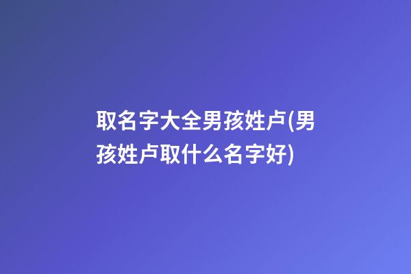取名字大全男孩姓卢(男孩姓卢取什么名字好)