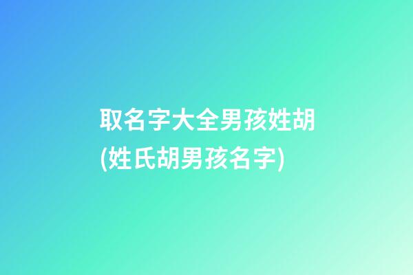 取名字大全男孩姓胡(姓氏胡男孩名字)