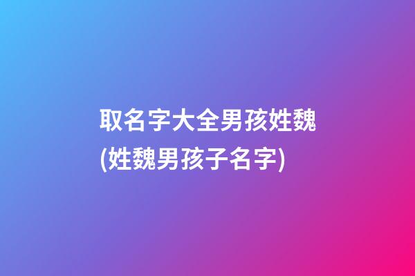 取名字大全男孩姓魏(姓魏男孩子名字)