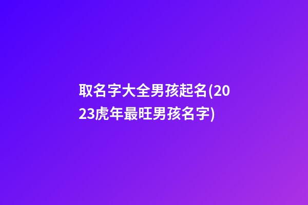 取名字大全男孩起名(2023虎年最旺男孩名字)