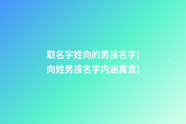 取名字姓向的男孩名字(向姓男孩名字内涵寓意)