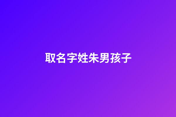 取名字姓朱男孩子(姓朱男宝起名)-第1张-男孩起名-玄机派