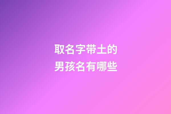 取名字带土的男孩名有哪些(取名字带土的男孩名字大全)-第1张-男孩起名-玄机派