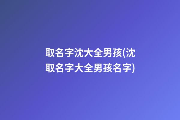 取名字沈大全男孩(沈取名字大全男孩名字)