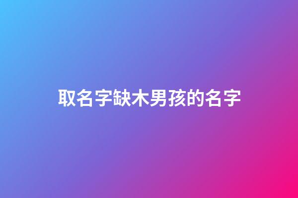 取名字缺木男孩的名字(缺木的男孩名字大全集免费)-第1张-男孩起名-玄机派