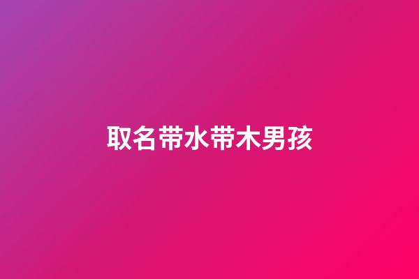 取名带水带木男孩(带水带木的名字男孩大气阳刚)-第1张-男孩起名-玄机派