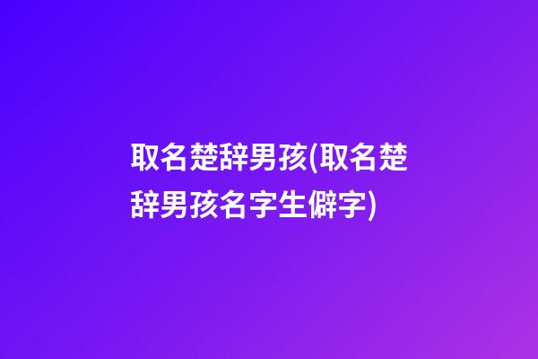 取名楚辞男孩(取名楚辞男孩名字生僻字)