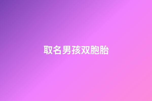 取名男孩双胞胎(取名男孩双胞胎名字大全)-第1张-男孩起名-玄机派