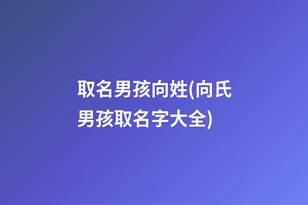 取名男孩向姓(向氏男孩取名字大全)