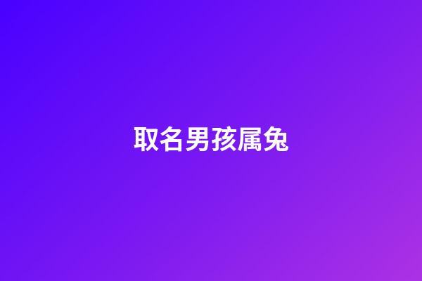 取名男孩属兔(男孩属兔起什么名字好)-第1张-男孩起名-玄机派