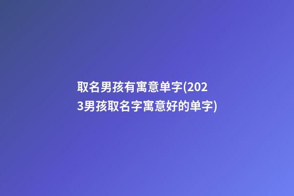 取名男孩有寓意单字(2023男孩取名字寓意好的单字)