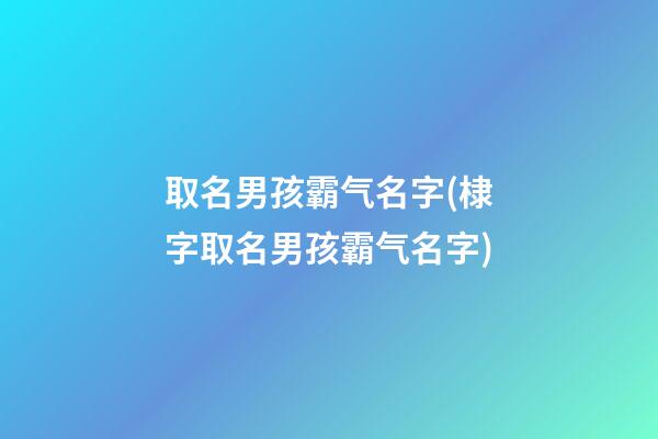 取名男孩霸气名字(棣字取名男孩霸气名字)