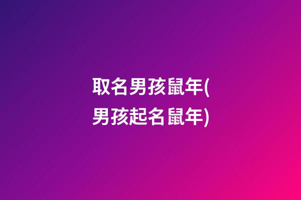 取名男孩鼠年(男孩起名鼠年)