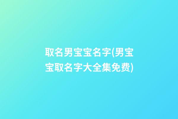 取名男宝宝名字(男宝宝取名字大全集免费)
