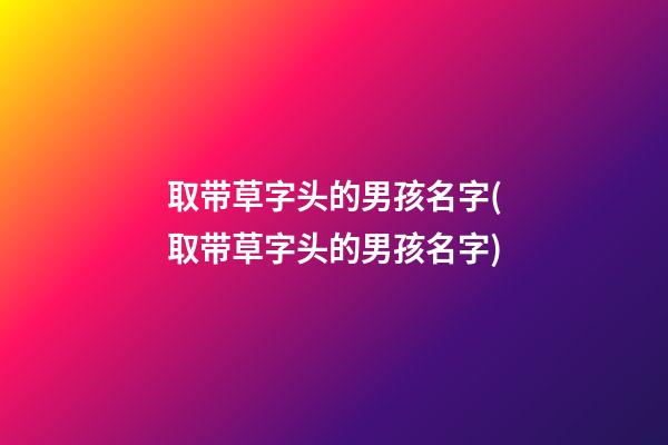 取带草字头的男孩名字(取带草字头的男孩名字)