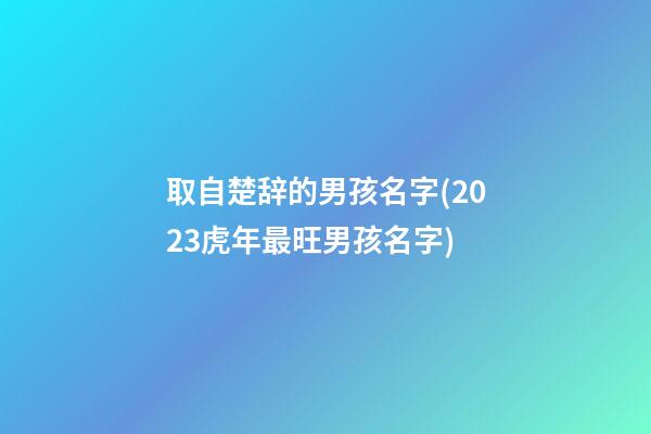 取自楚辞的男孩名字(2023虎年最旺男孩名字)