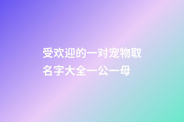 受欢迎的一对宠物取名字大全一公一母