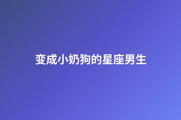 变成小奶狗的星座男生-第1张-星座运势-玄机派