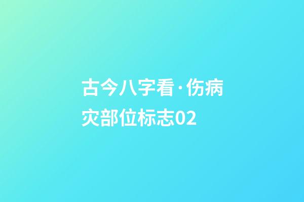 古今八字看·伤病灾部位标志02