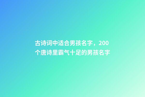 古诗词中适合男孩名字，200个唐诗里霸气十足的男孩名字-第1张-观点-玄机派