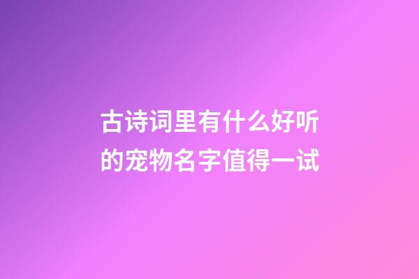 古诗词里有什么好听的宠物名字值得一试
