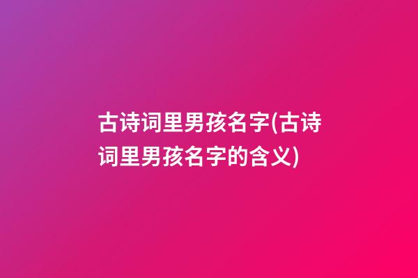 古诗词里男孩名字(古诗词里男孩名字的含义)