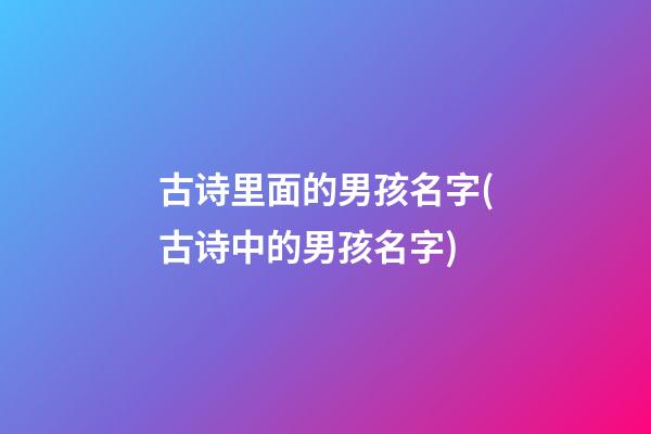 古诗里面的男孩名字(古诗中的男孩名字)