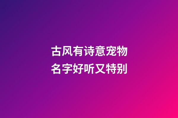 古风有诗意宠物名字好听又特别