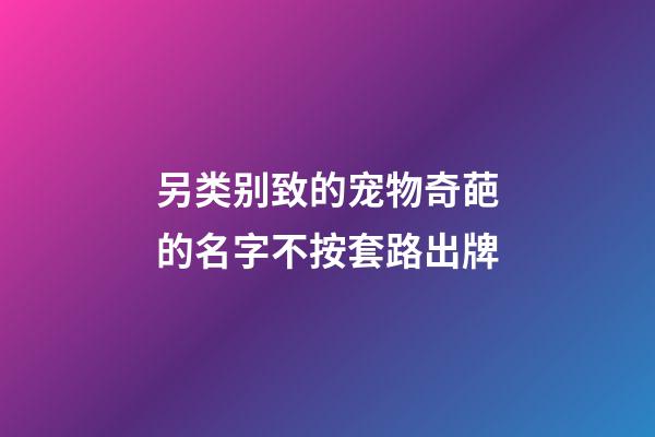 另类别致的宠物奇葩的名字不按套路出牌
