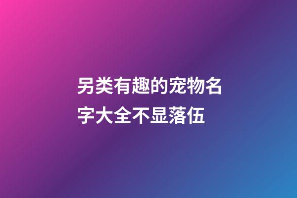 另类有趣的宠物名字大全不显落伍