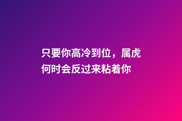 只要你高冷到位，属虎何时会反过来粘着你