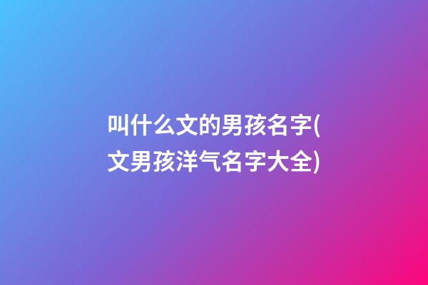 叫什么文的男孩名字(文男孩洋气名字大全)