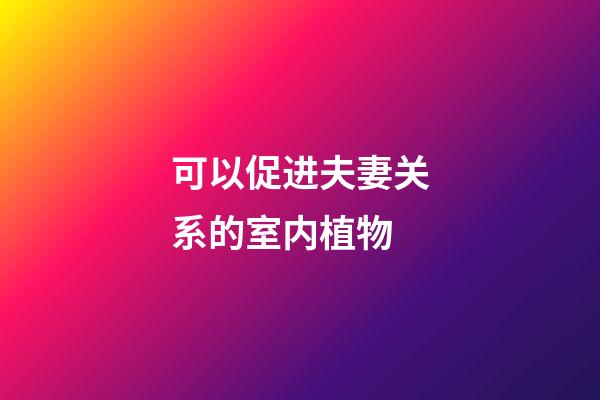 可以促进夫妻关系的室内植物