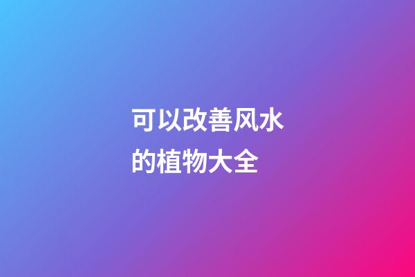 可以改善风水的植物大全