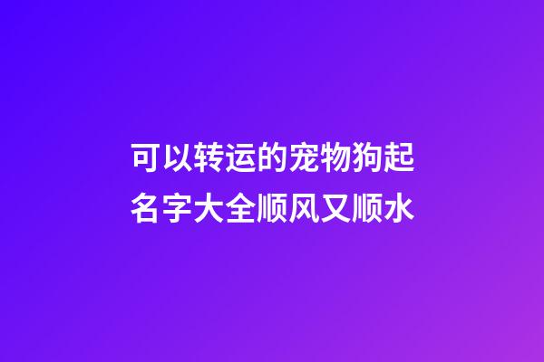可以转运的宠物狗起名字大全顺风又顺水