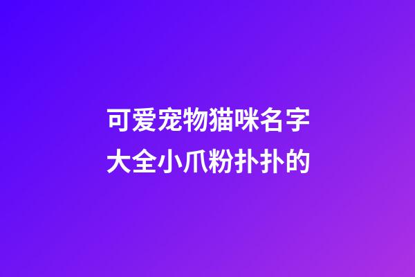 可爱宠物猫咪名字大全小爪粉扑扑的