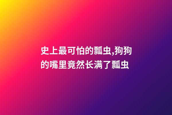 史上最可怕的瓢虫,狗狗的嘴里竟然长满了瓢虫-第1张-观点-玄机派