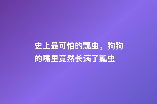 史上最可怕的瓢虫，狗狗的嘴里竟然长满了瓢虫-第1张-观点-玄机派
