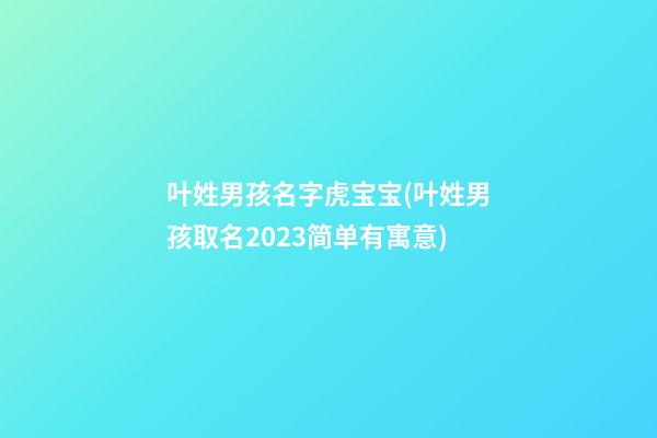 叶姓男孩名字虎宝宝(叶姓男孩取名2023简单有寓意)